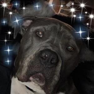 Meet your Posher, Leslie